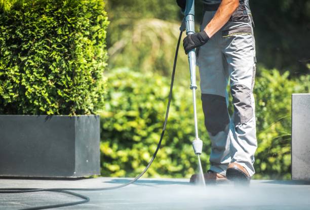 Best Sign and Awning Cleaning  in Texas City, TX