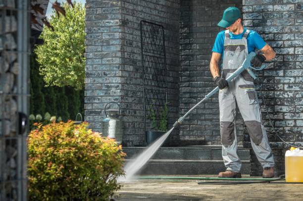 Best Soft Washing  in Texas City, TX