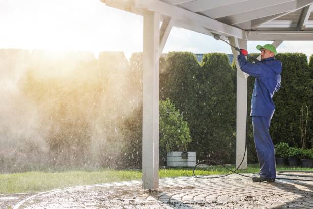 Best Dumpster Area Cleaning  in Texas City, TX