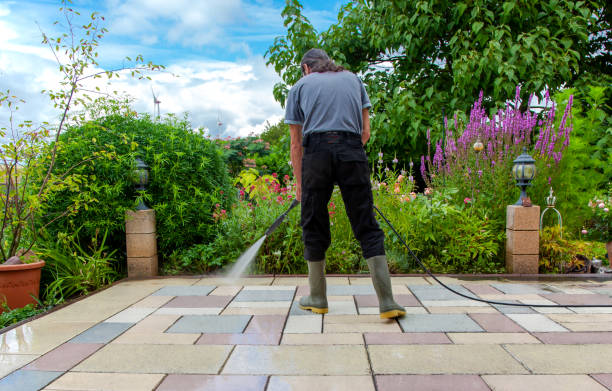 Best Driveway Pressure Washing  in Texas City, TX